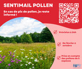 Allergique aux pollens de graminées ?