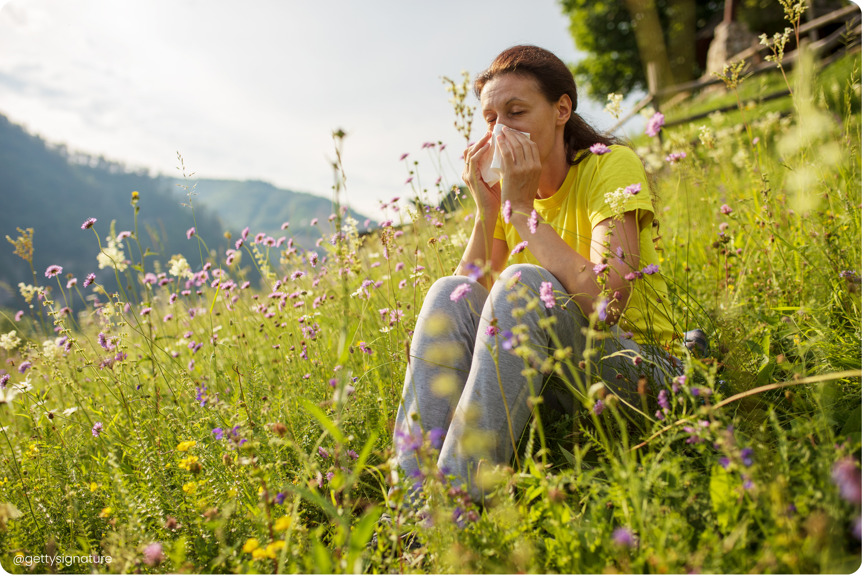 Un indice Pollen national accessible dès le 2 avril 2025 !